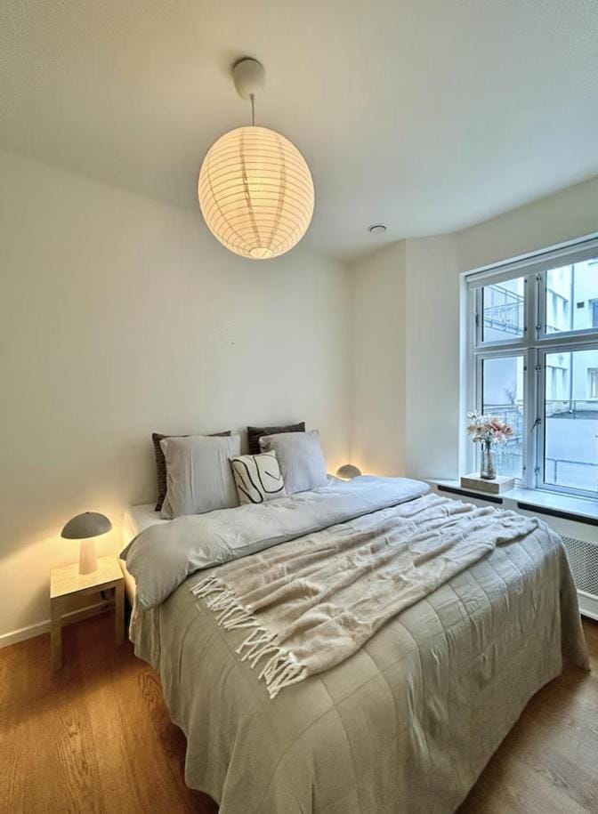 Cozy Copenhagen Center Apartment in Copenhagen