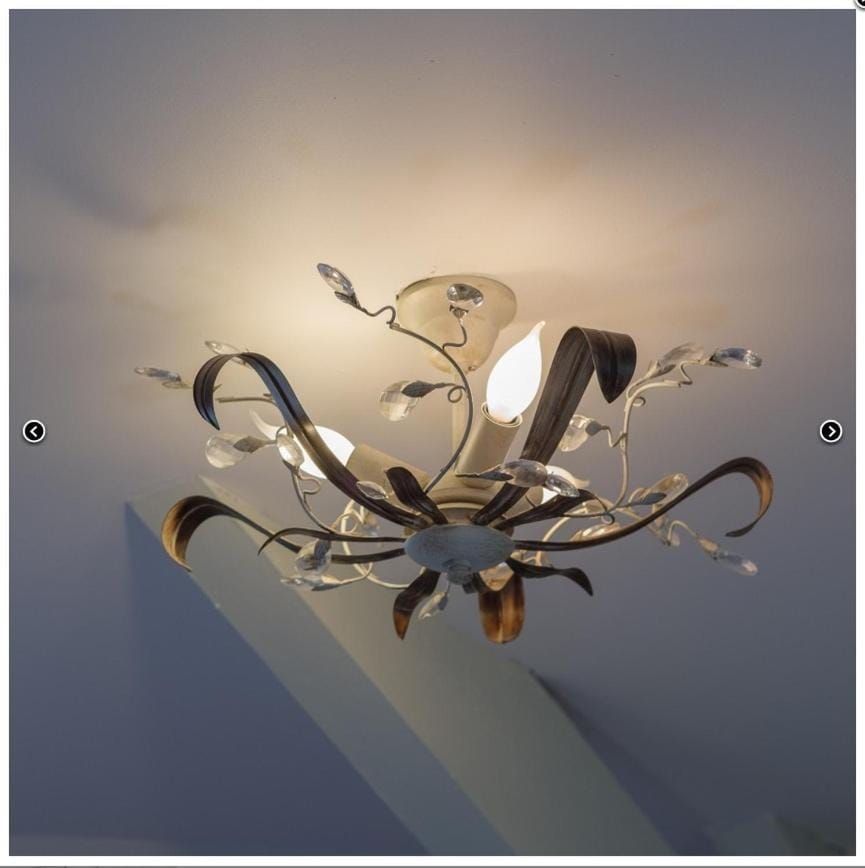 Herberg de Griffioen Inn in Wolphaartsdijk