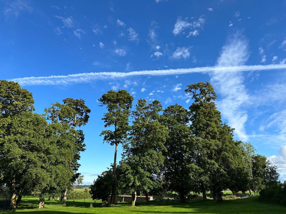 Spring, Day, Natural landscape, Area and facilities