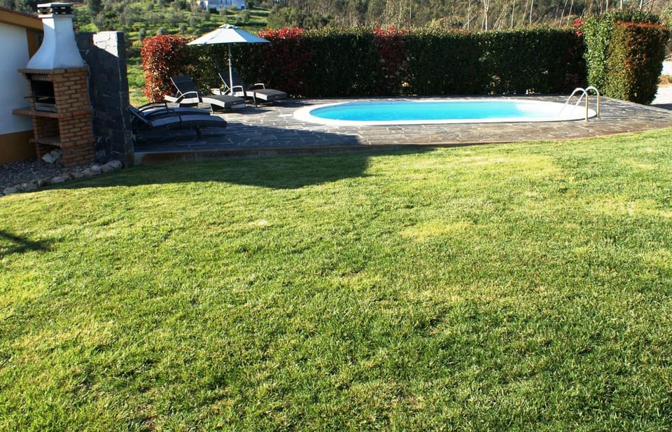 BBQ facilities, Garden, Pool view, Swimming pool, sunbed