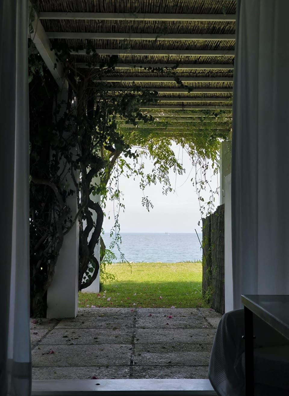 Garden view