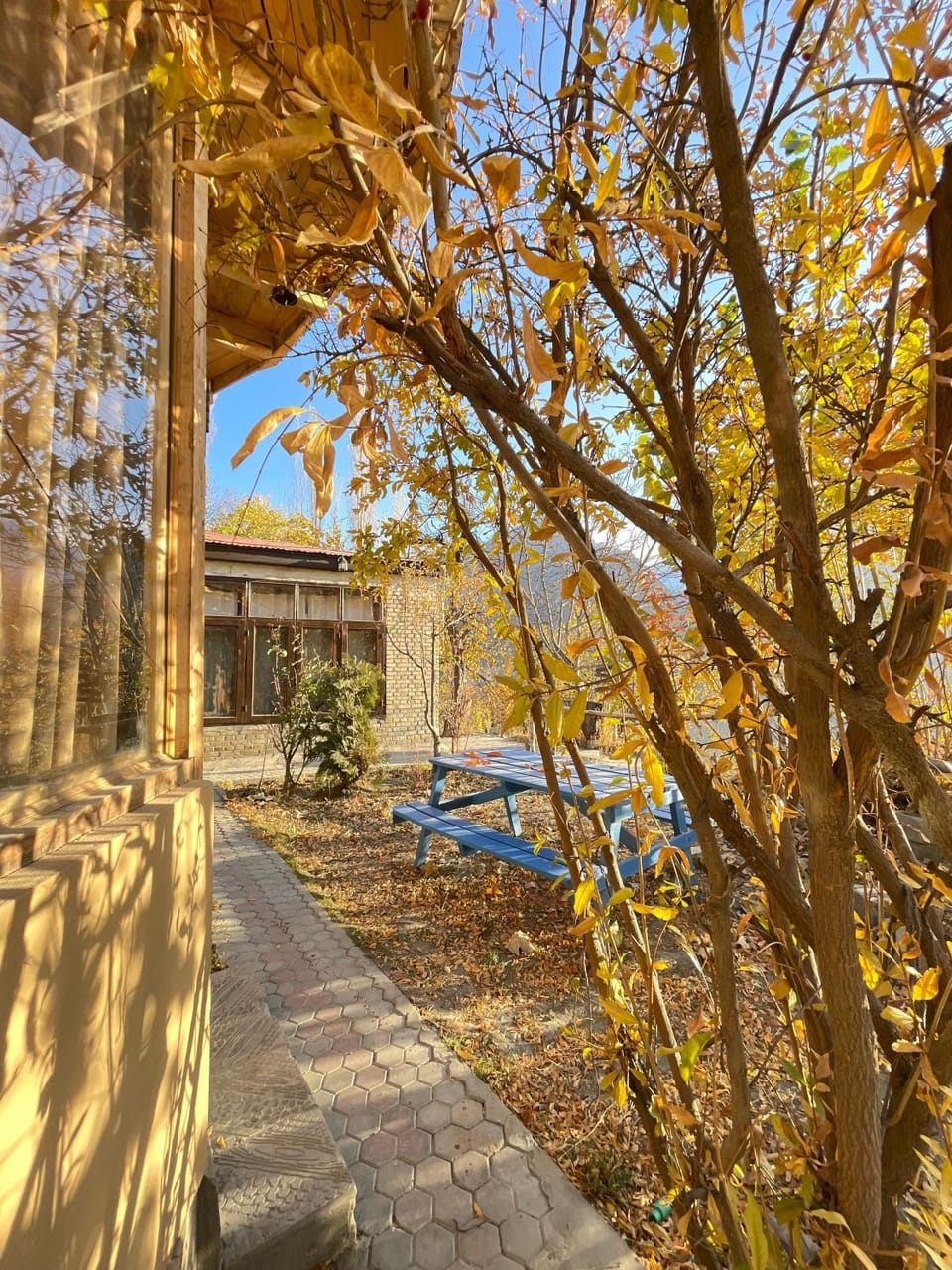 Natural landscape, Garden, Garden view