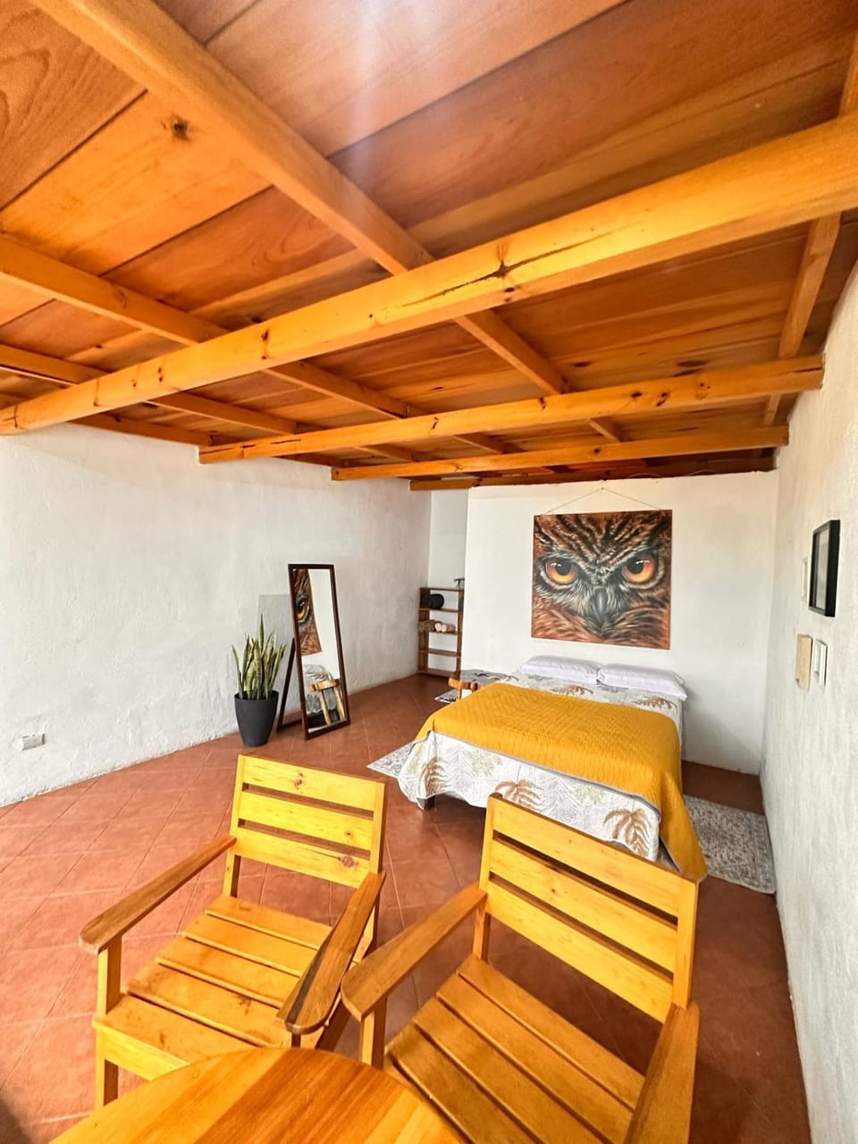 Photo of the whole room