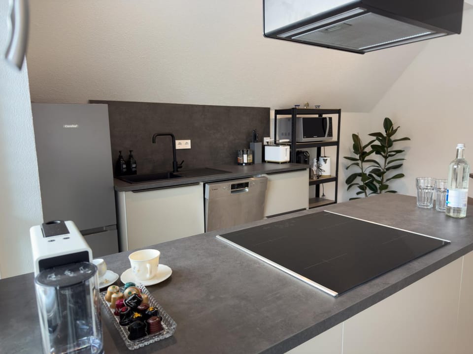 Kitchen or kitchenette, dishwasher, stove, toaster