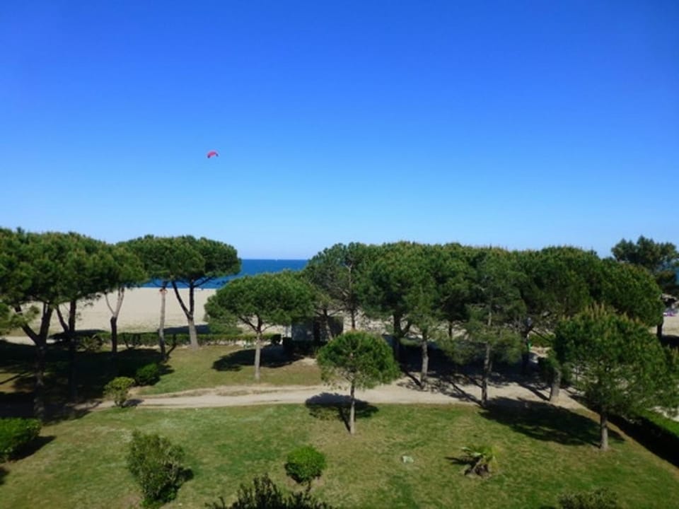 Appartement 2 pièces, vue mer, Accès plage, Parking - FR-1-776-132 Apartment in Argeles-sur-Mer