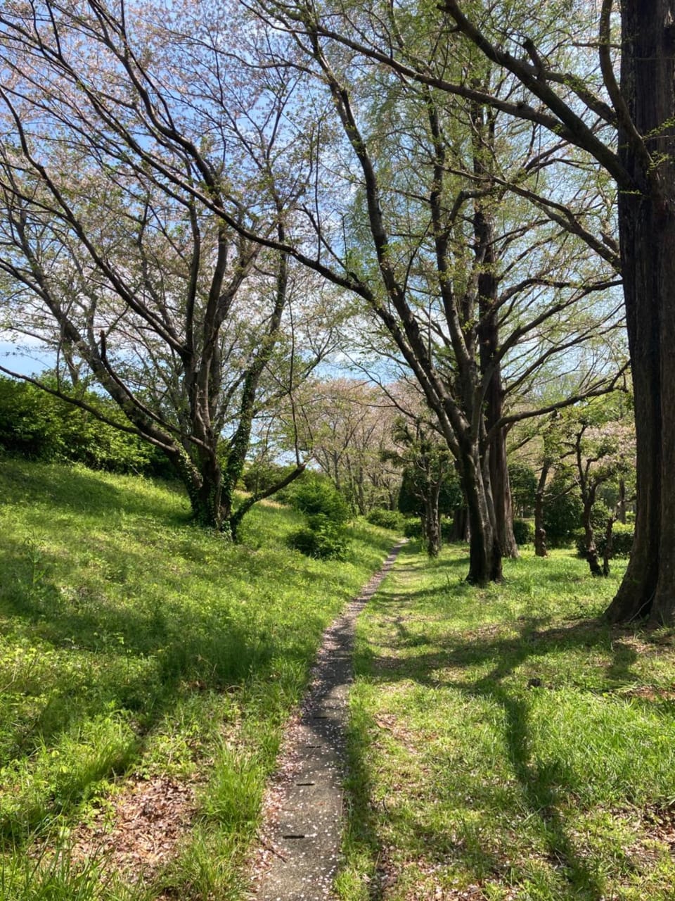 Natural landscape