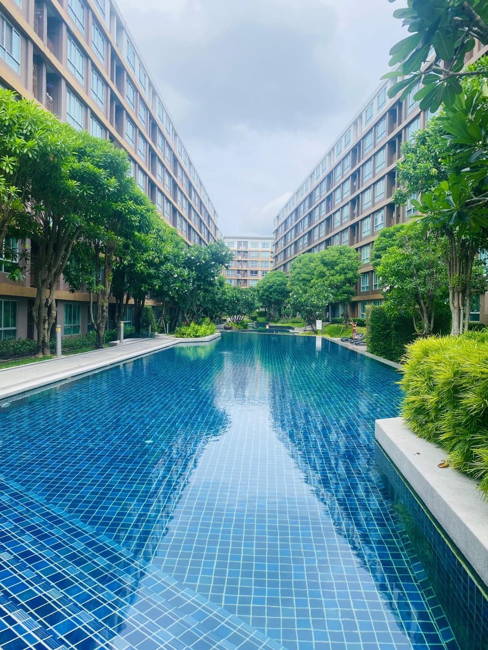 Pool view