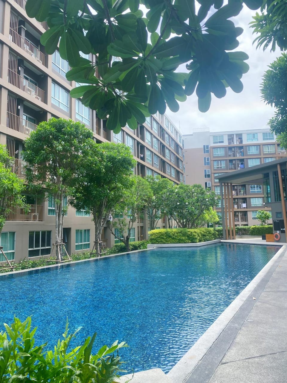 Pool view