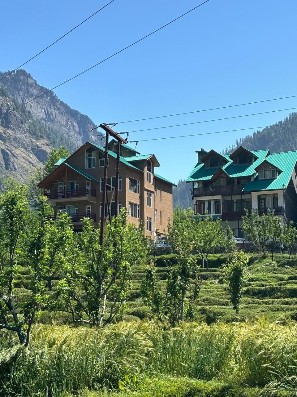 Mountain view