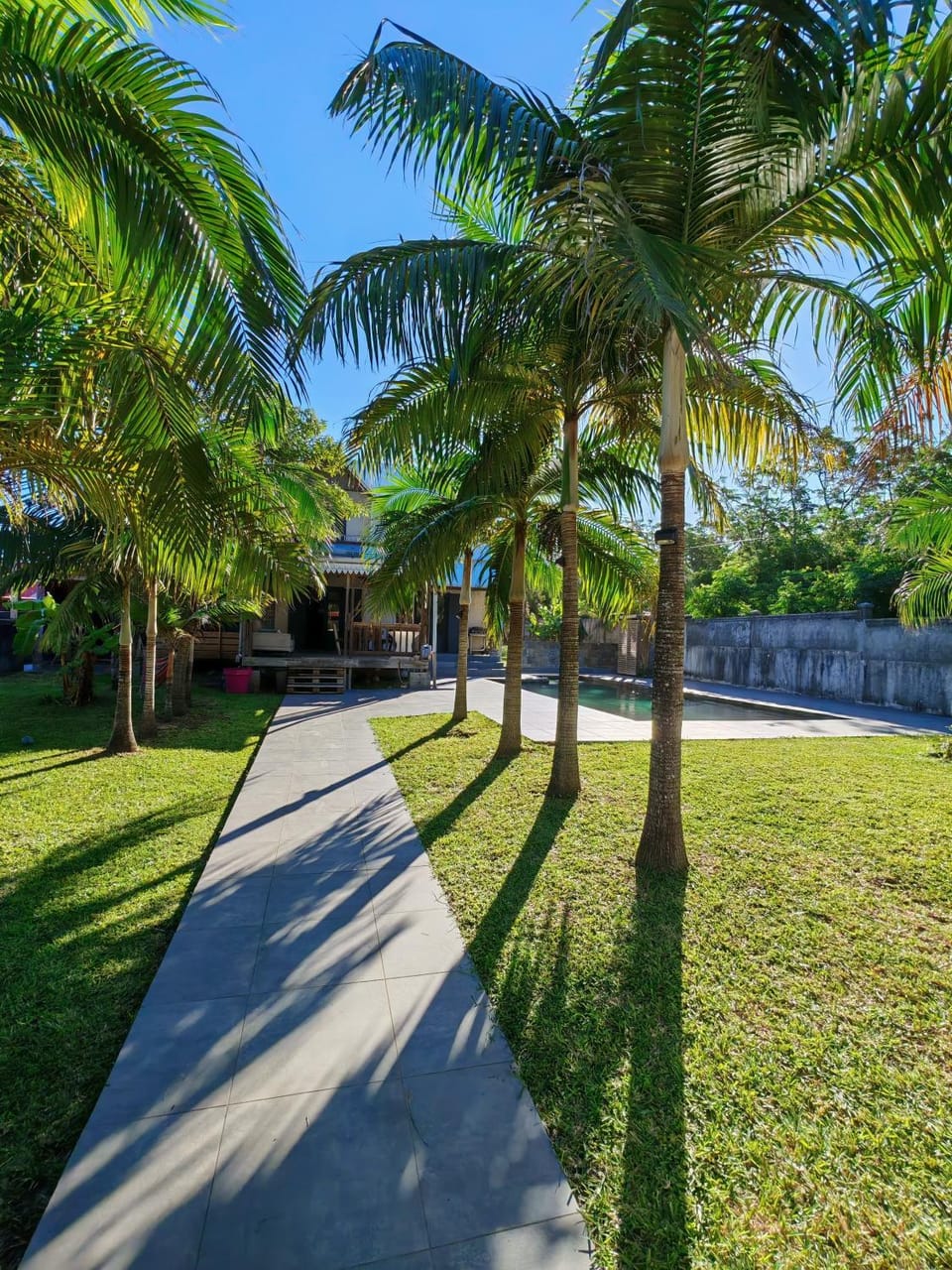 Natural landscape, Garden, Garden view