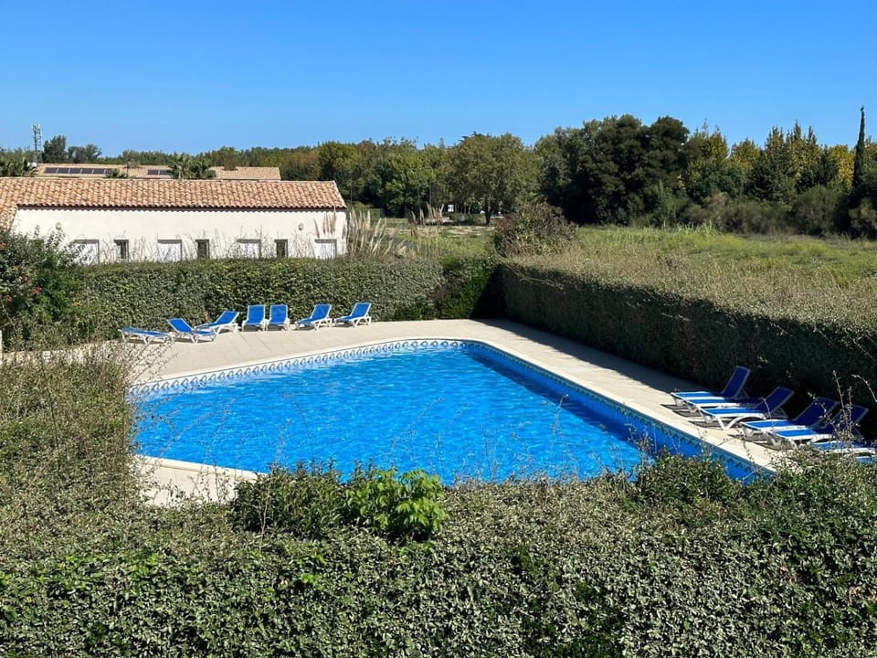 Pool view, Swimming pool, sunbed