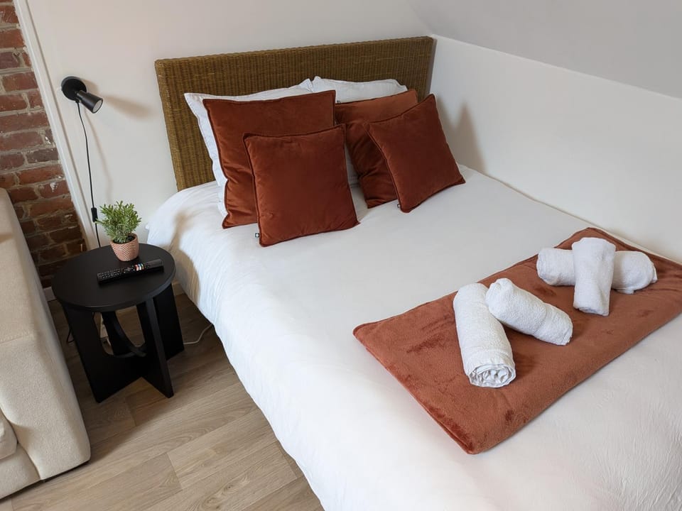 Les Briques Rouges, Appartement Béthune Apartment in Béthune