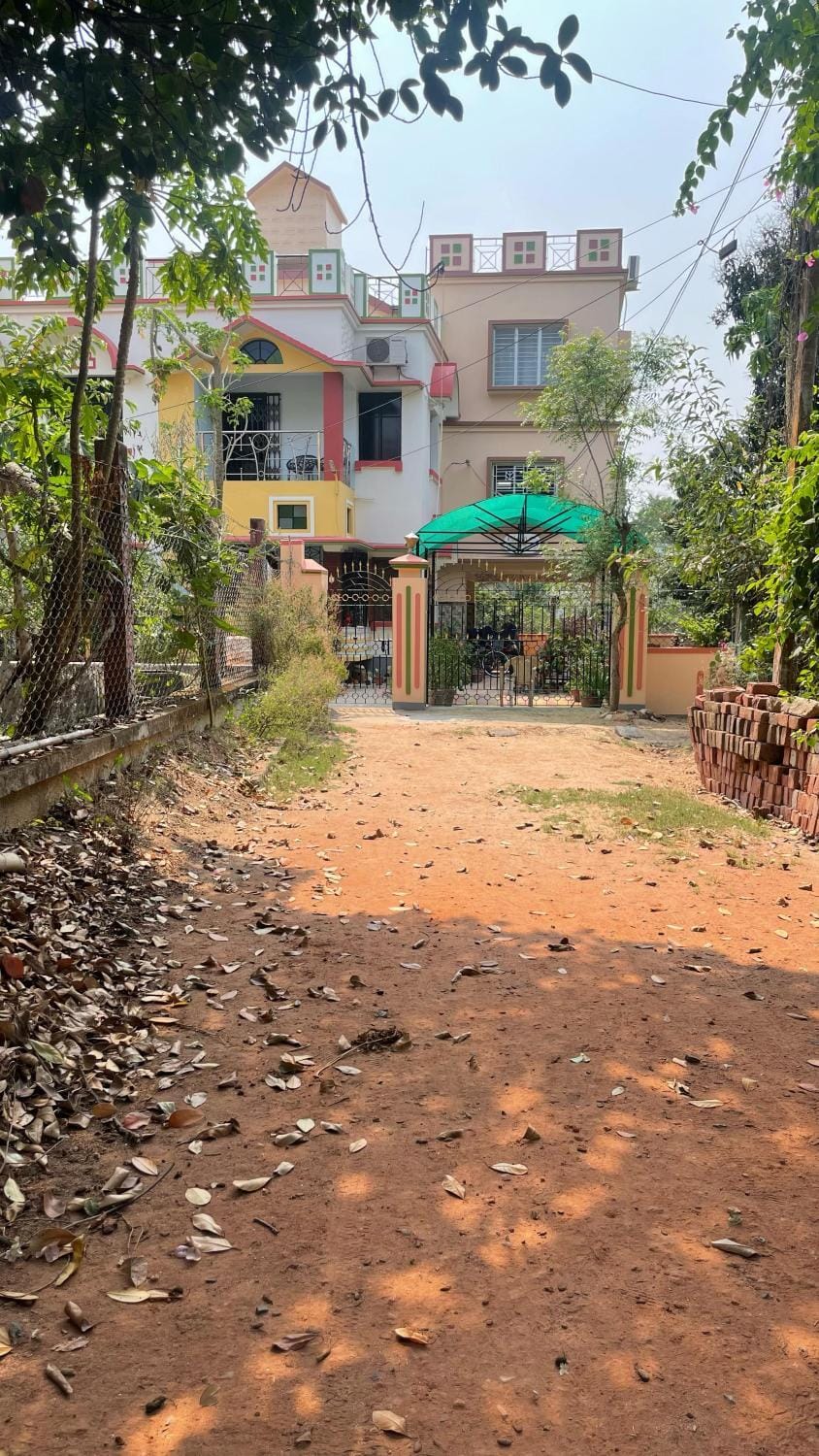 Street view, Parking