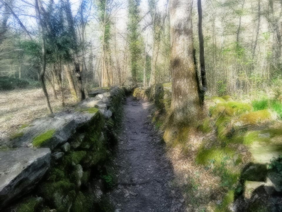 Casa Francesca Apartment in Canton of Ticino
