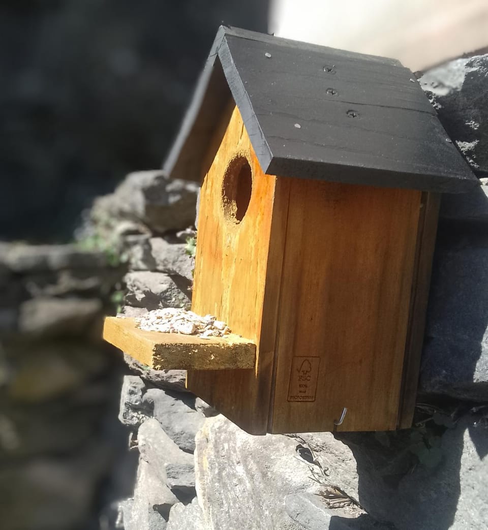 Casa Francesca Apartment in Canton of Ticino