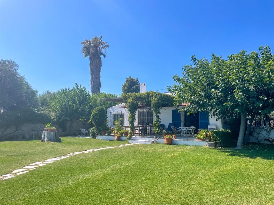 Natural landscape, Garden, Garden view