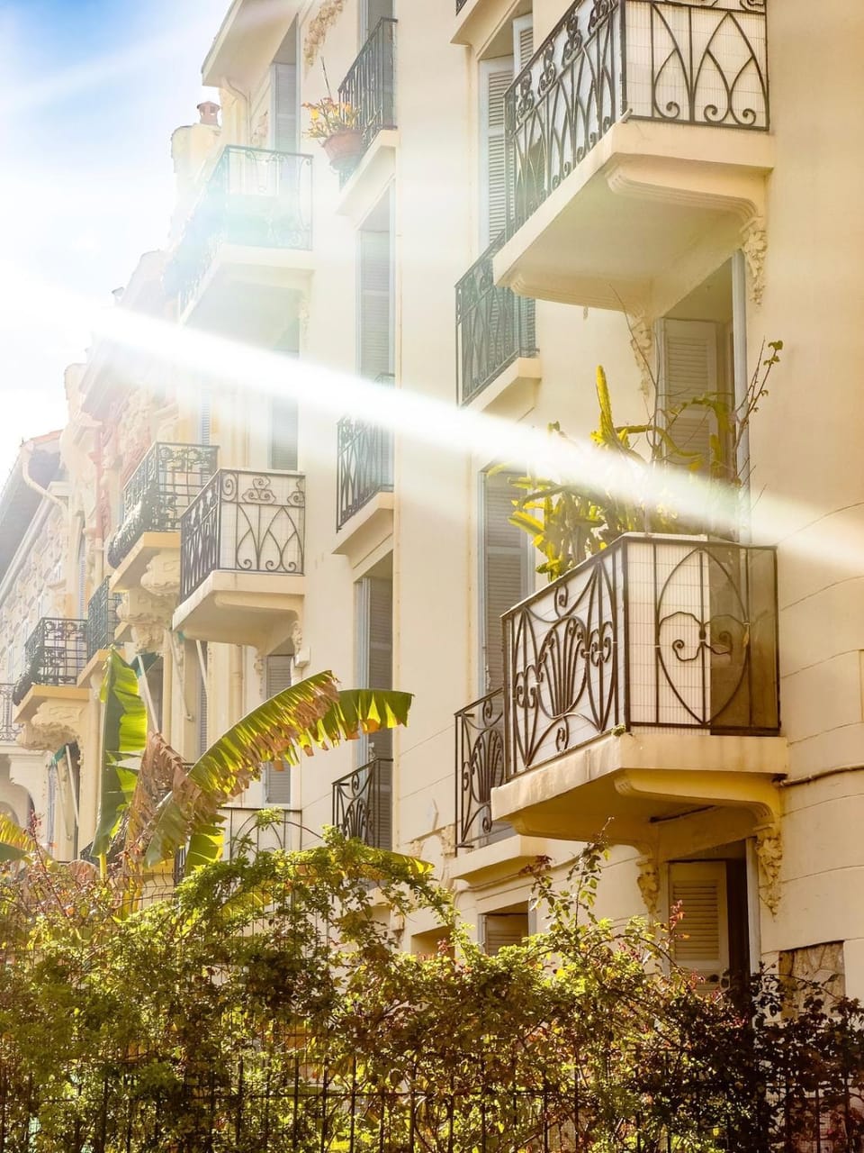 Les Bananiers centre ville Cannes Apartment in Cannes