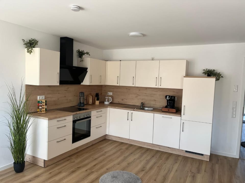 Kitchen or kitchenette, dishwasher, oven, stove