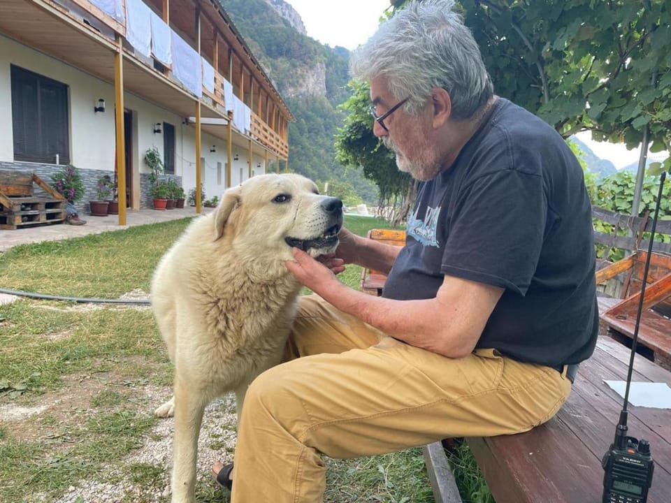 Pets, group of guests