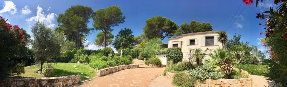 Property building, Garden, Garden view
