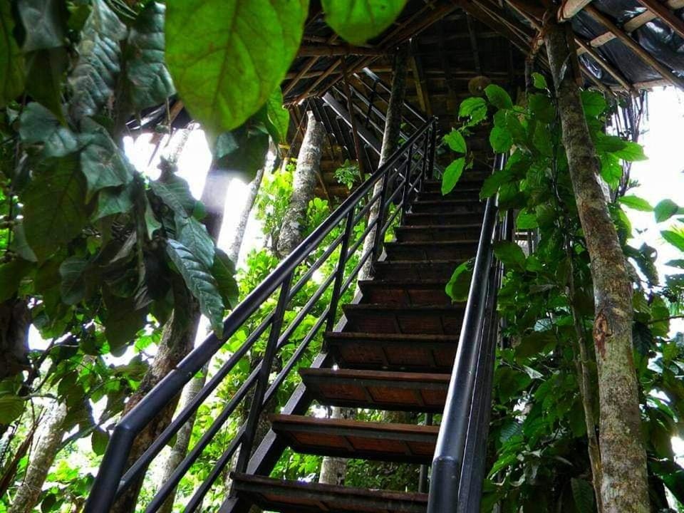 Greens Tree House & Wood House Villa in Kerala