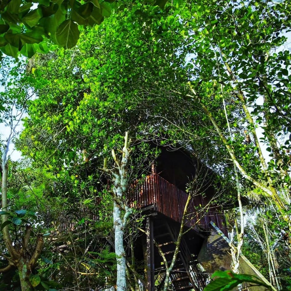 Greens Tree House & Wood House Villa in Kerala