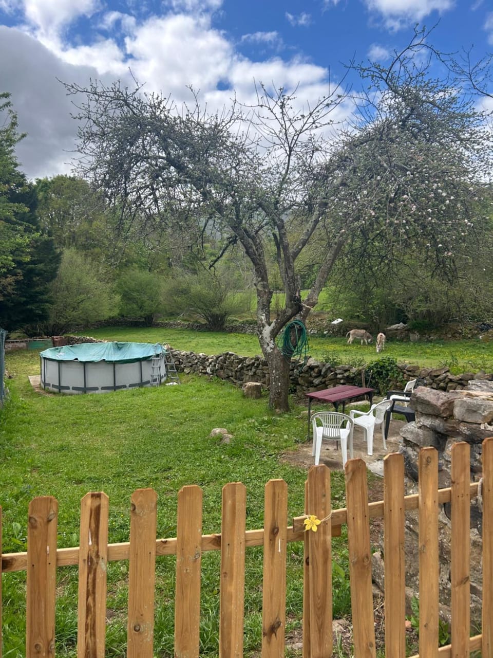 Natural landscape, Garden, Mountain view, Swimming pool