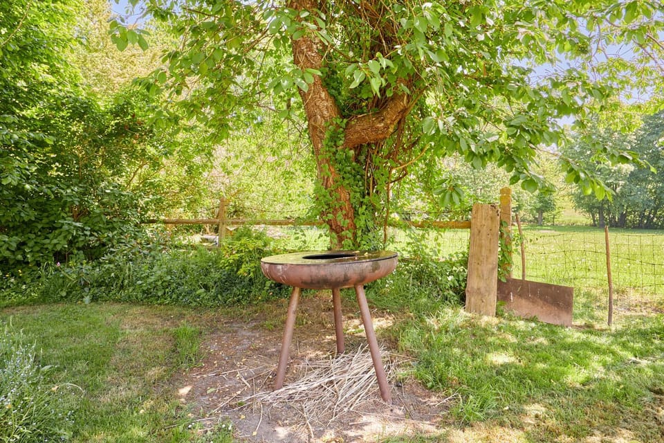 Spring, Day, Natural landscape, BBQ facilities, BBQ facilities, Garden, Garden view