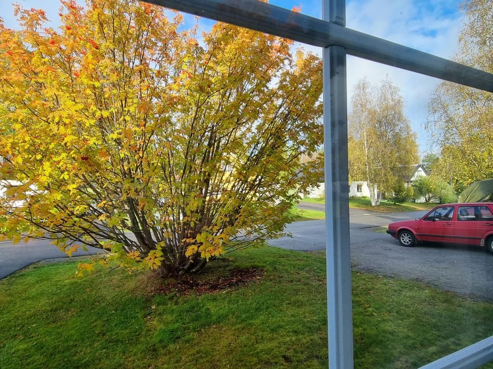 Spring, Day, Garden, View (from property/room), Garden view, Parking