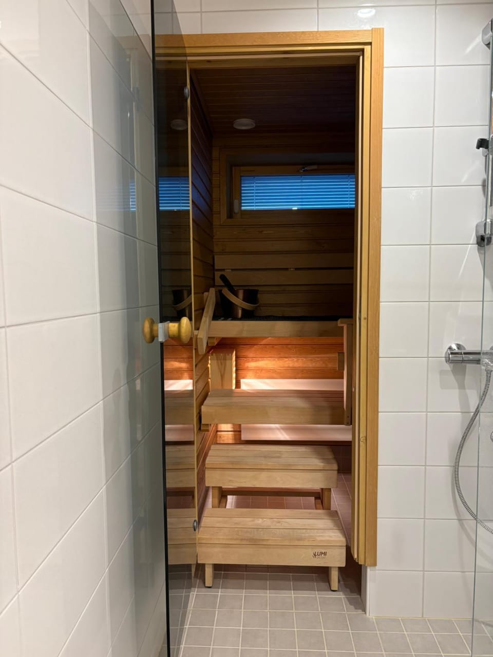 Shower, Sauna, Bathroom