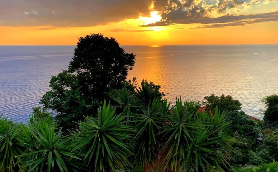 Just renovated seaside home 80 meters from the sea Apartment in Magnesia Prefecture, Greece