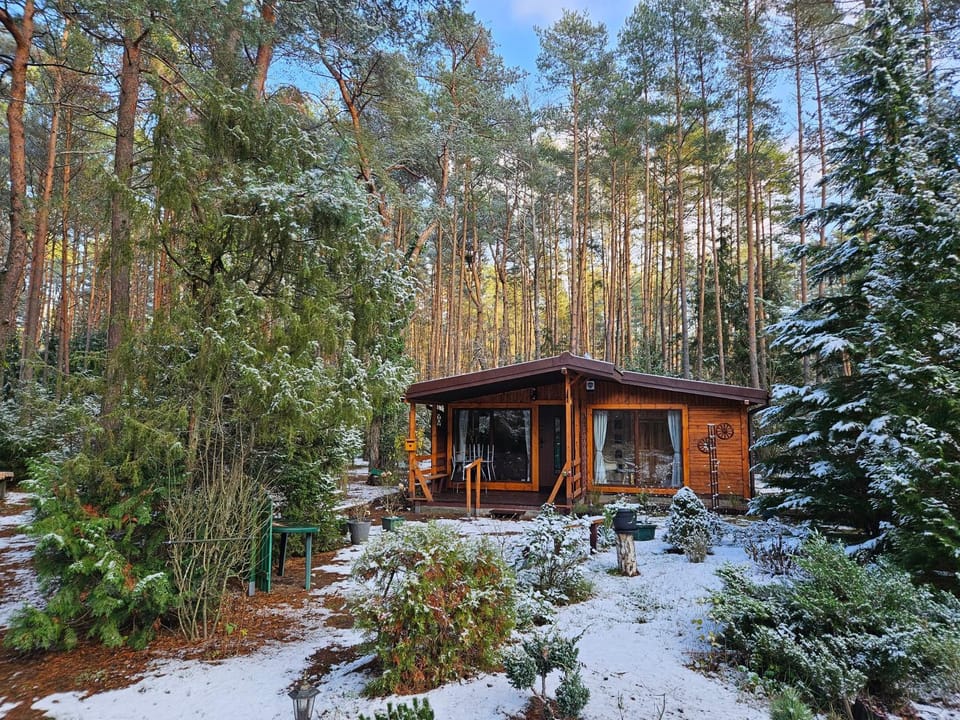 Property building, Natural landscape, Winter