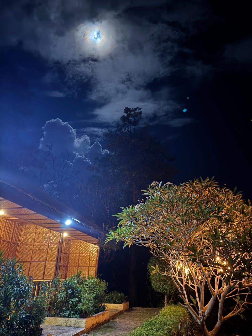 Cecilia's Garden Guesthouse Bed and Breakfast in Siquijor