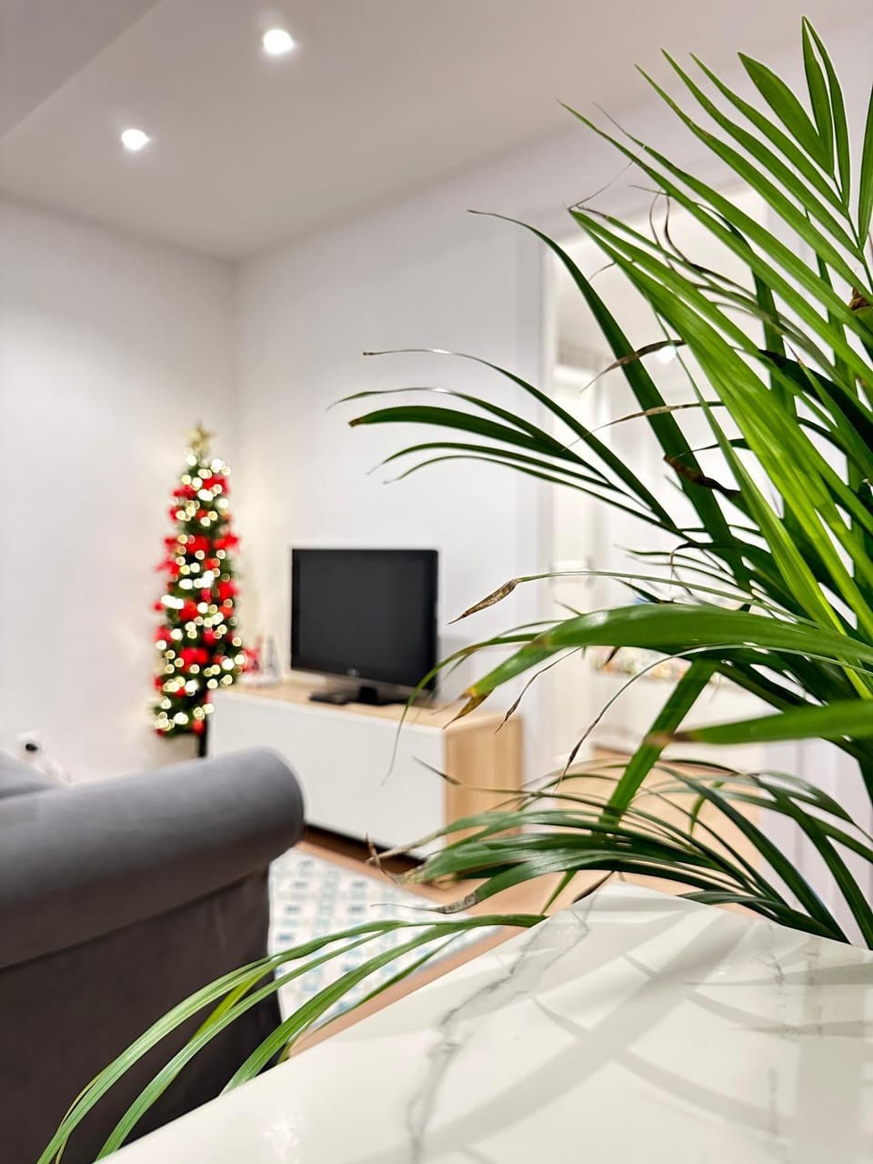 Apartamento de Pau Apartment in Laredo