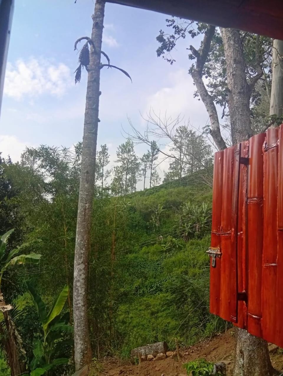 Ella Awesome cottages Bed and Breakfast in Uva Province, Sri Lanka