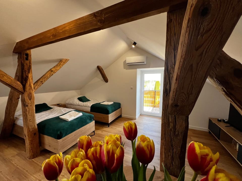 Bed, TV and multimedia, Photo of the whole room, Bedroom, towels, air conditioner