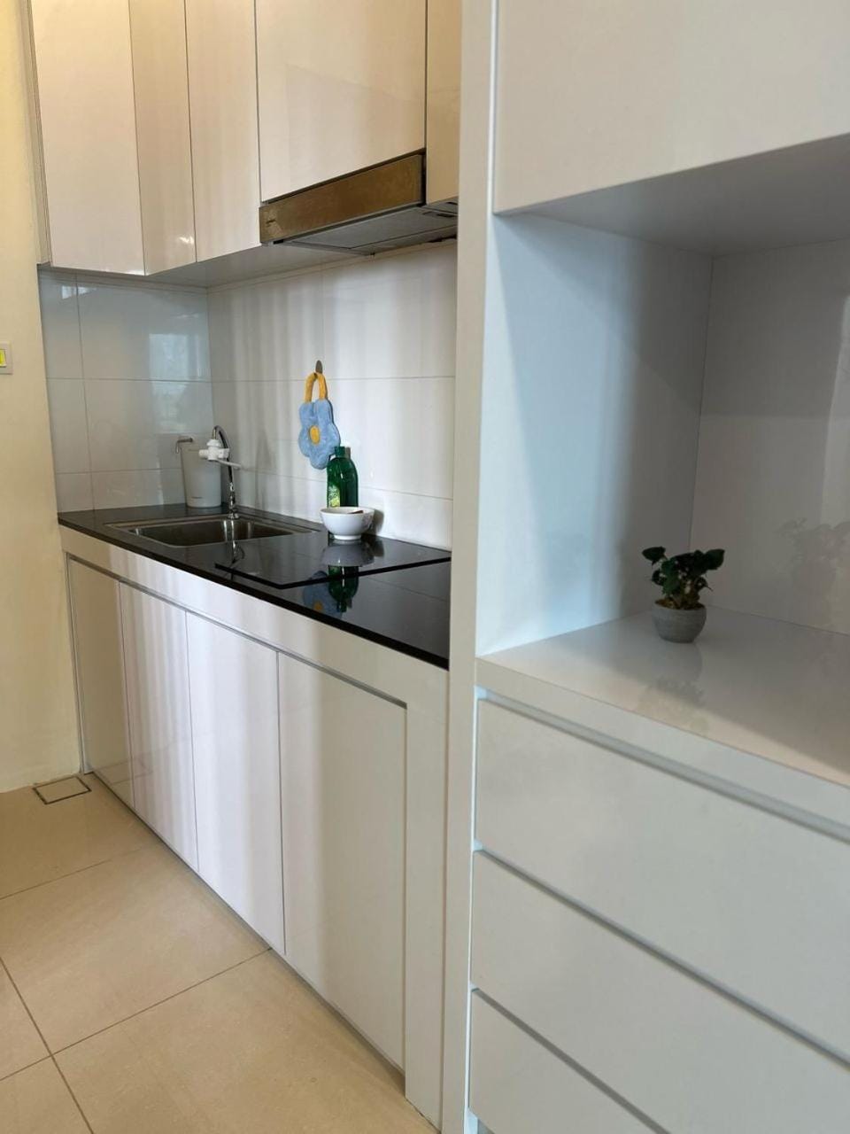Kitchen or kitchenette, dishwasher, stove