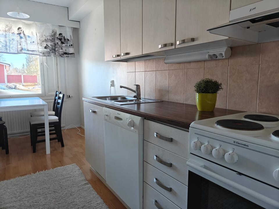 Kitchen or kitchenette, Dining area, dishwasher, stove