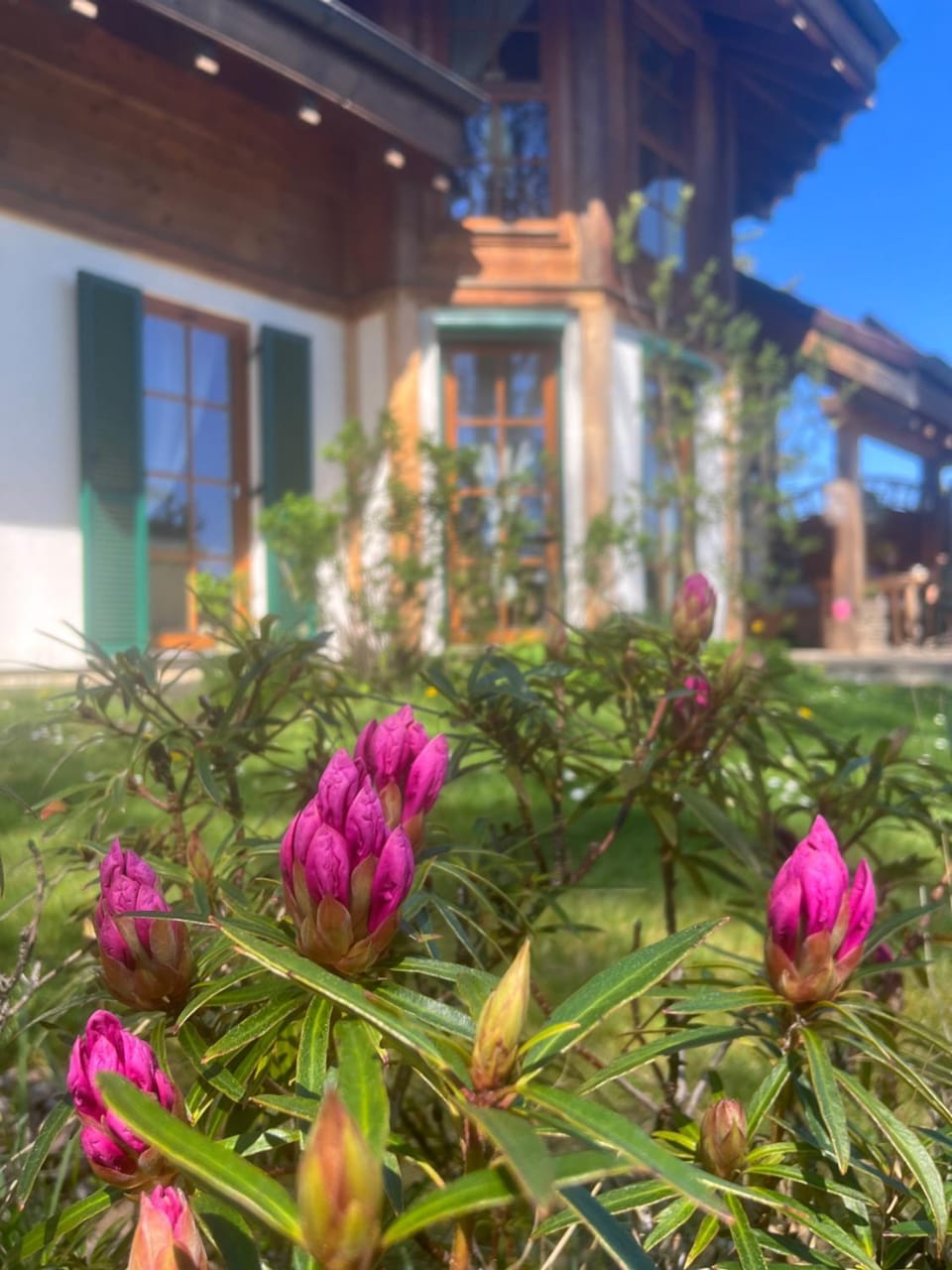Property building, Spring, Garden view