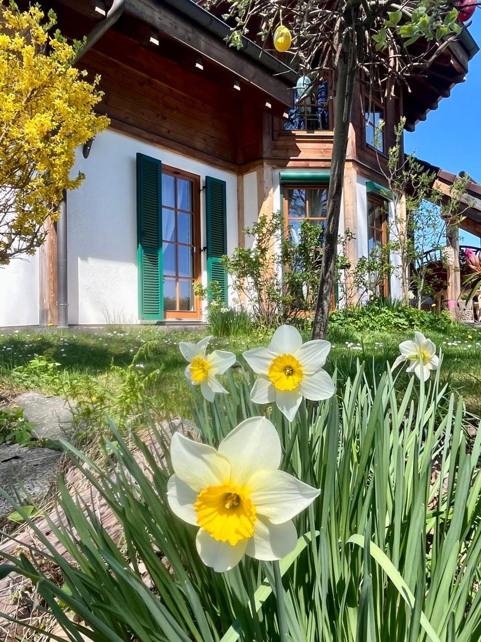 Property building, Spring, Garden view