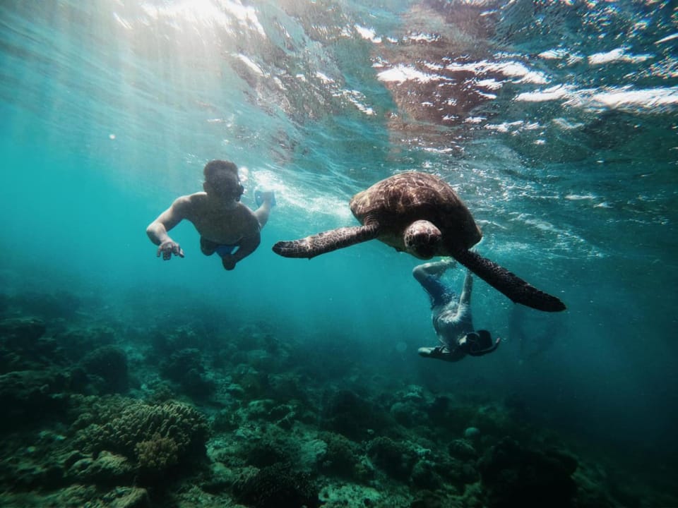 Activities, Snorkeling