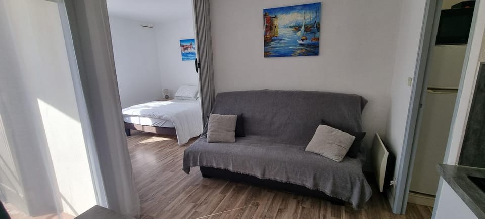 Front de mer, WIFI, Netflix, joli appartement 4 couchages, secteur Lydia Grande plage Apartment in Le Barcarès