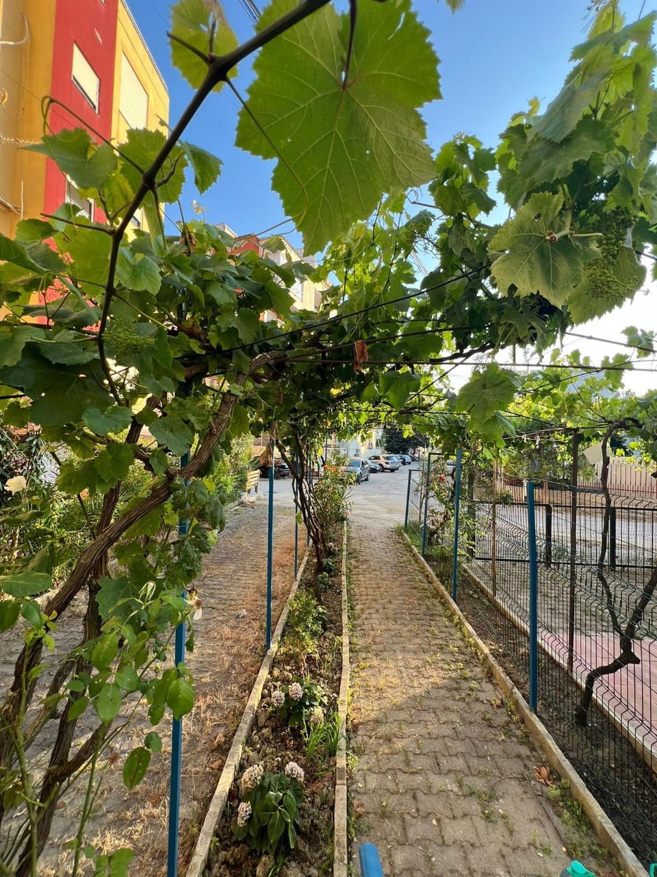 The Wish Garden Apartment in Tirana County, Albania