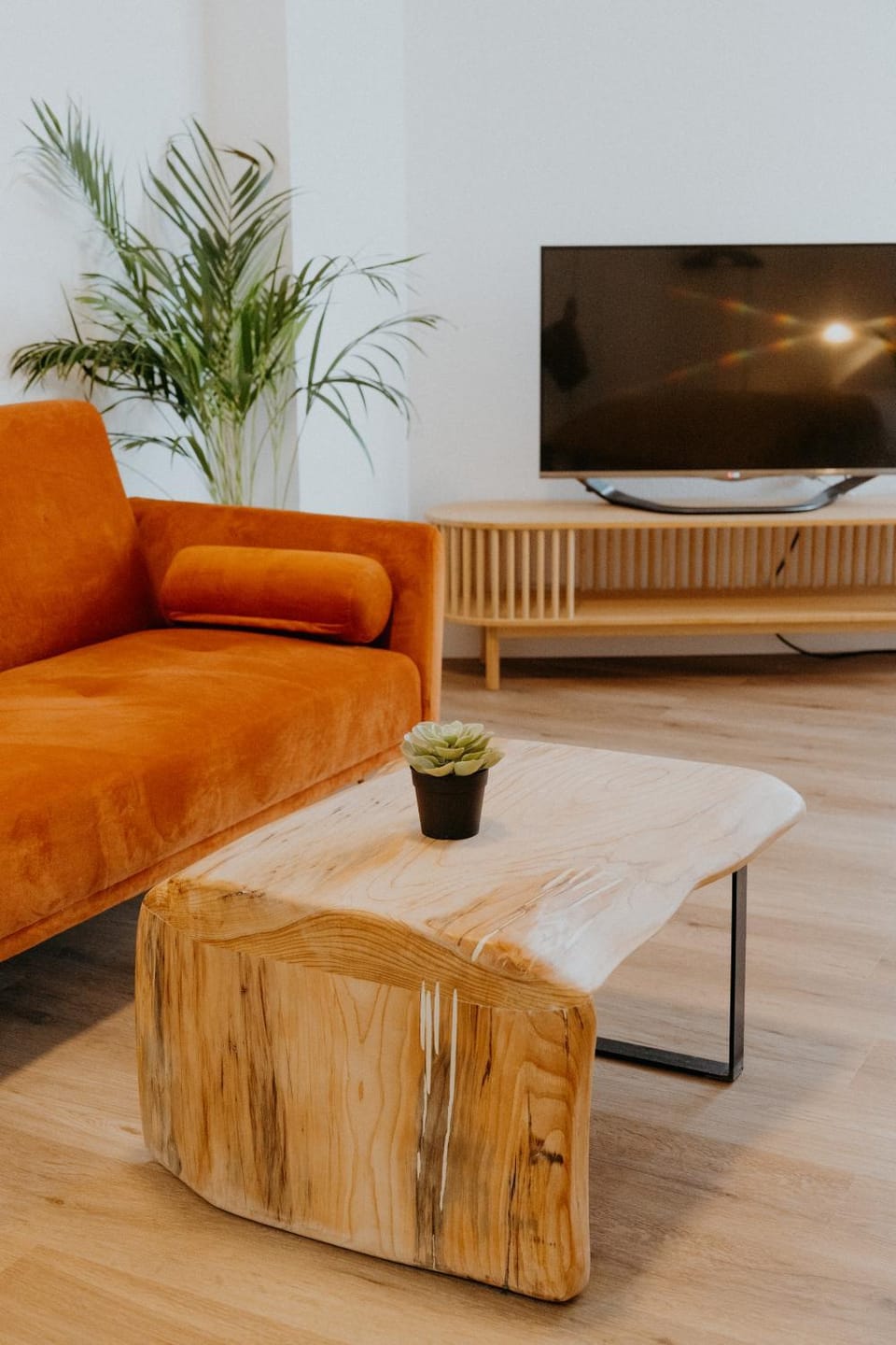 Communal lounge/ TV room, TV and multimedia, Living room