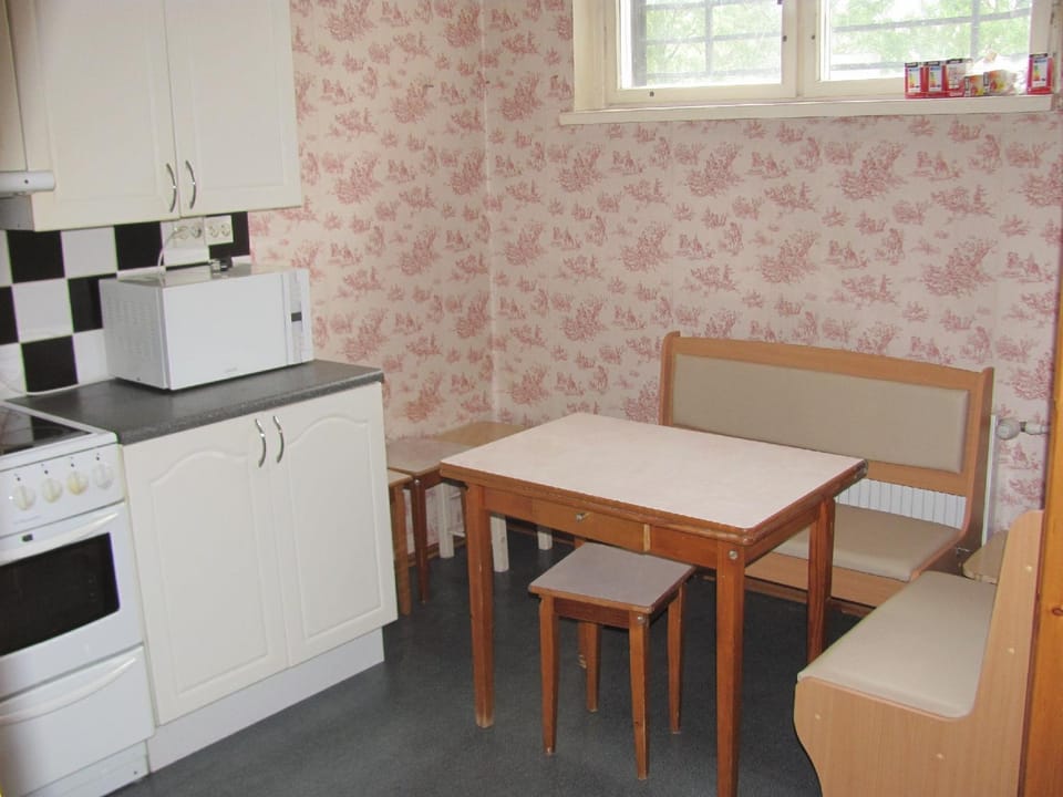 Day, Kitchen or kitchenette, Dining area, stove