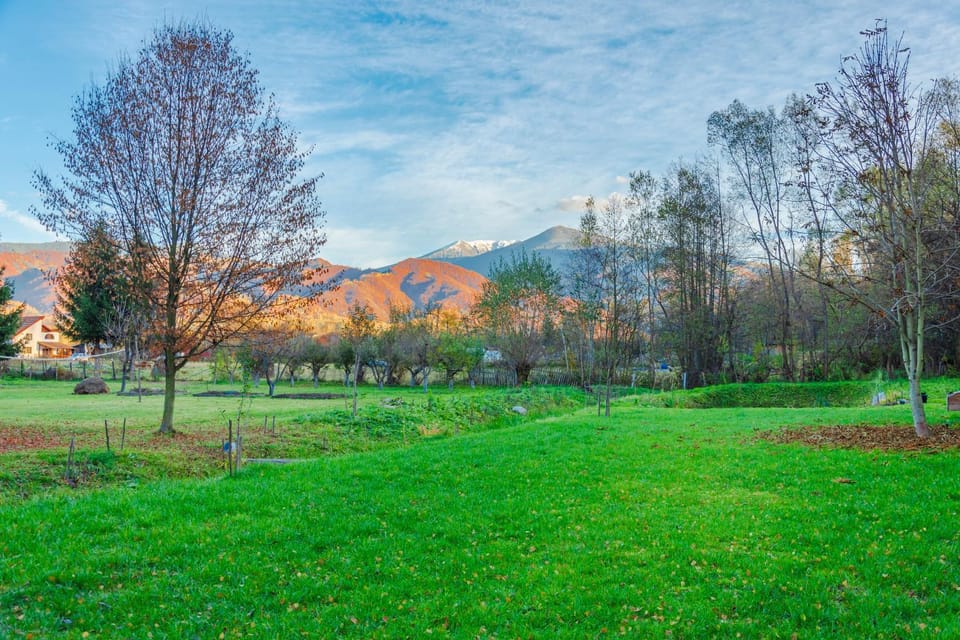 Nearby landmark, Day, Natural landscape, Garden, Garden view, Mountain view
