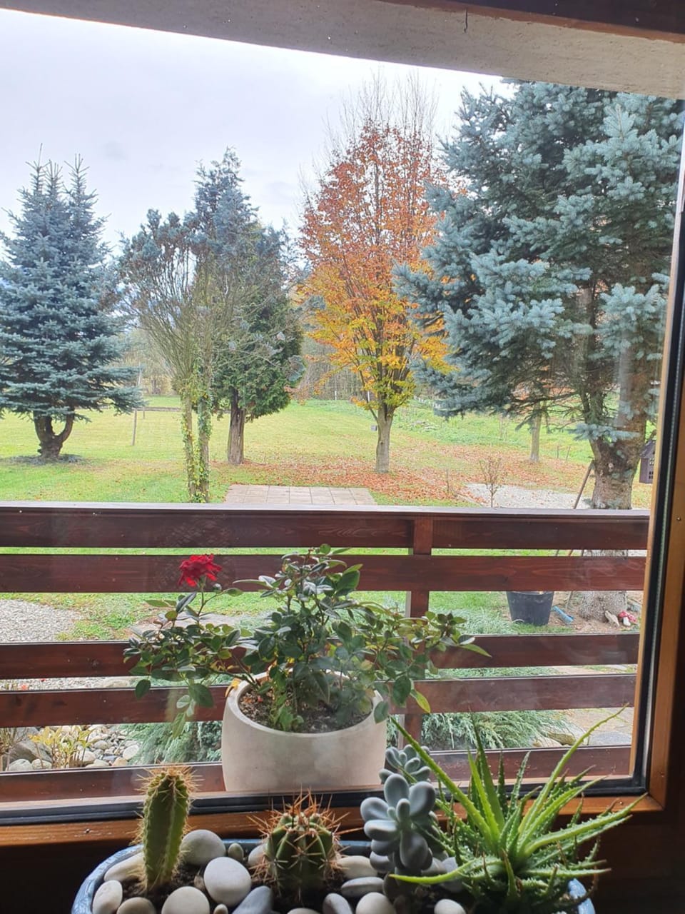 Day, Garden, View (from property/room), Balcony/Terrace, Autumn, Garden view