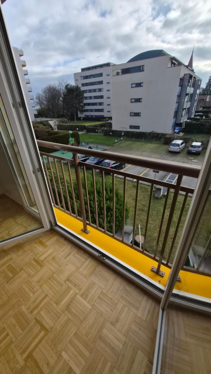Sunny Place Geneva 15 min Train Apartment in Canton of Geneva