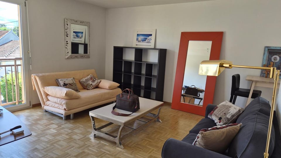 Sunny Place Geneva 15 min Train Apartment in Canton of Geneva