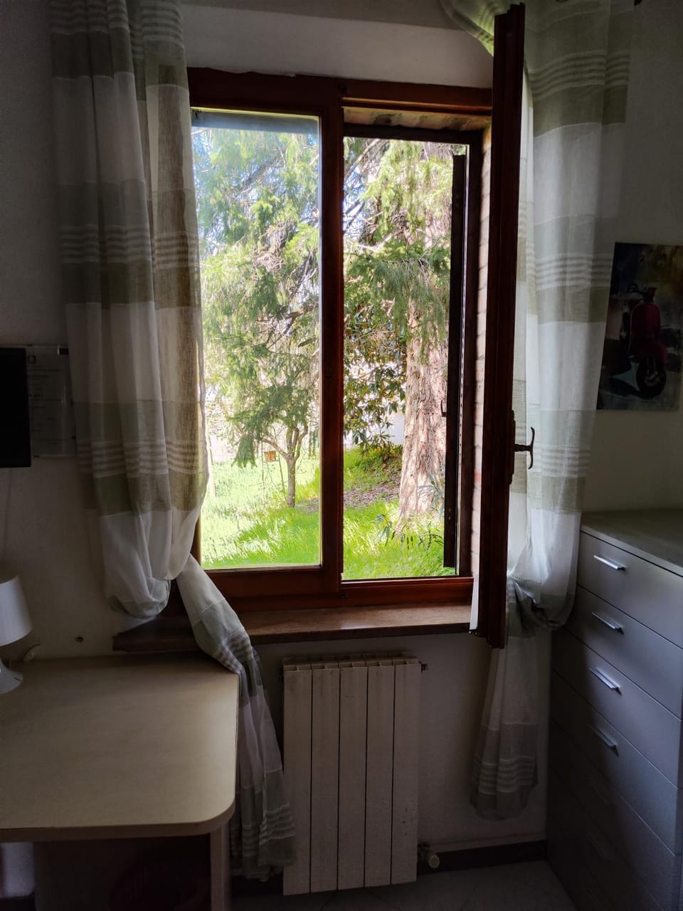 View (from property/room)